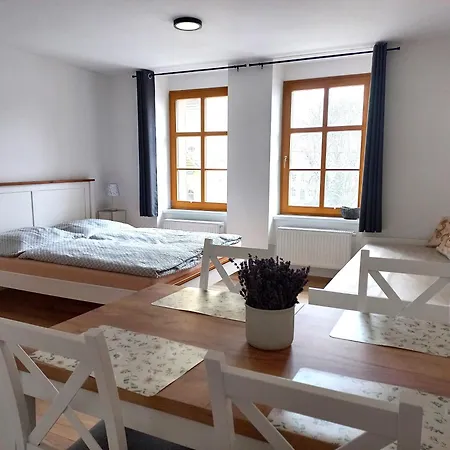 Kopretina Krušné Hory - Erzgebirge *