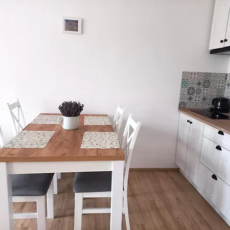 Apartman Kopretina Krušné Hory - Erzgebirge