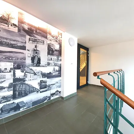 Kopretina Krušné Hory - Erzgebirge Apartman Horní Blatná