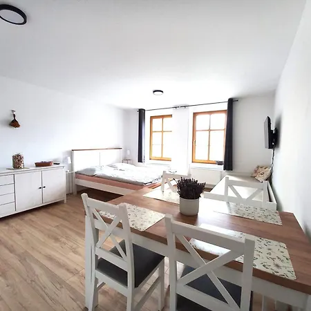 Kopretina Krušné Hory - Erzgebirge