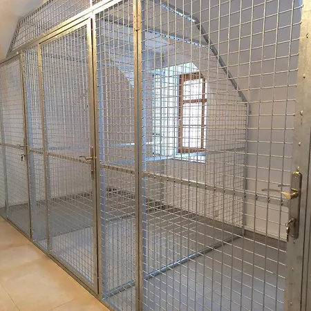 Apartman Kopretina Krušné Hory - Erzgebirge Horní Blatná
