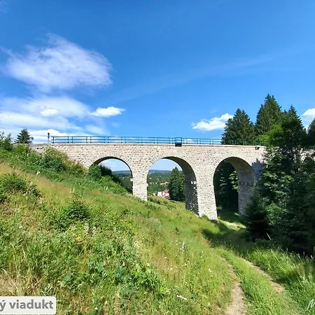 Kopretina Krušné Hory - Erzgebirge *