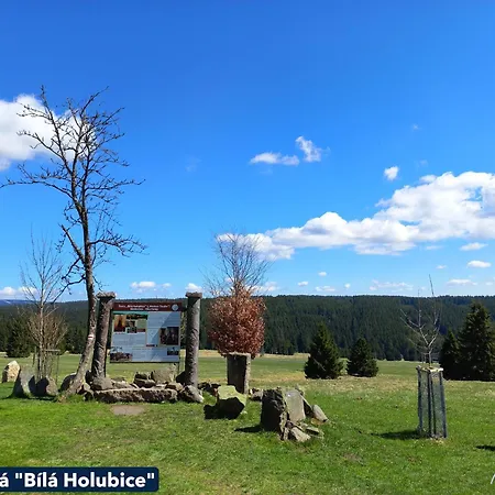 Apartman Kopretina Krušné Hory - Erzgebirge