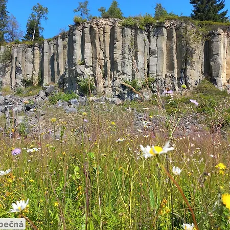 Kopretina Krušné Hory - Erzgebirge Appartamento *