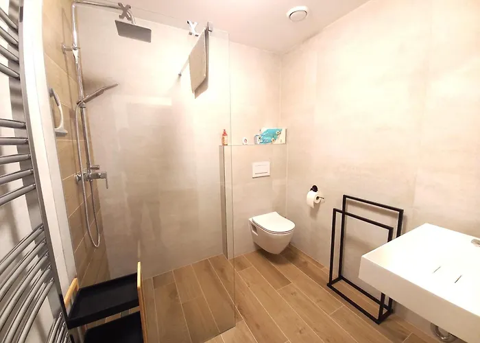 Kopretina Krušné Hory - Erzgebirge Apartman