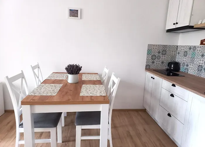 Apartman Kopretina Krušné Hory - Erzgebirge