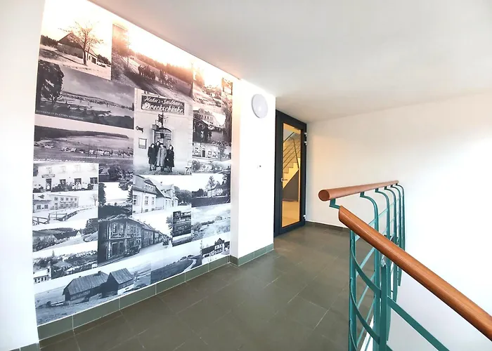 Kopretina Krušné Hory - Erzgebirge Apartman Horní Blatná